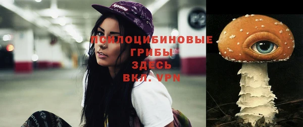 герыч Балахна