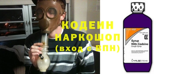 сатива Баксан