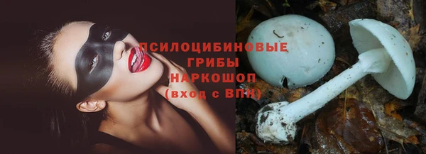 apvp Балабаново