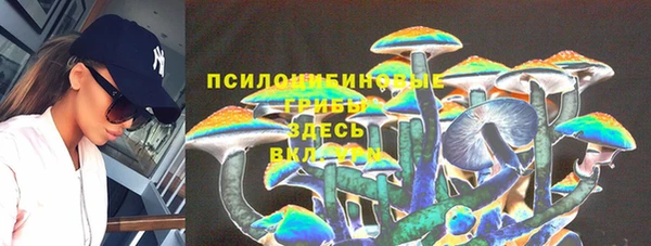 apvp Балабаново