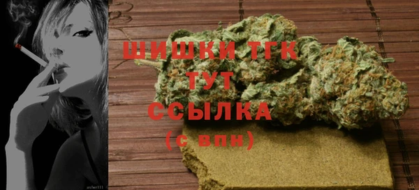 сатива Баксан