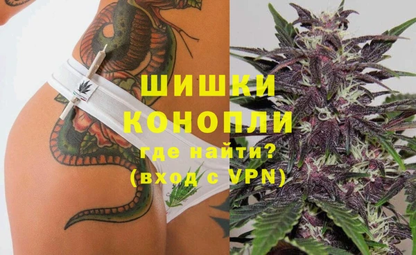 сатива Баксан